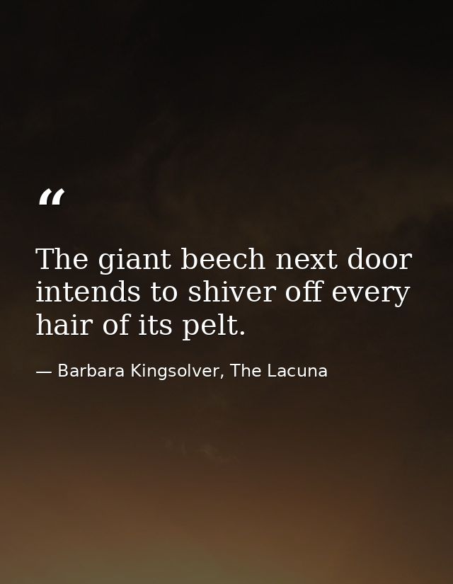 The giant beech next door intends to shiver off every hair of its pelt. — Barbara Kingsolver, The Lacuna