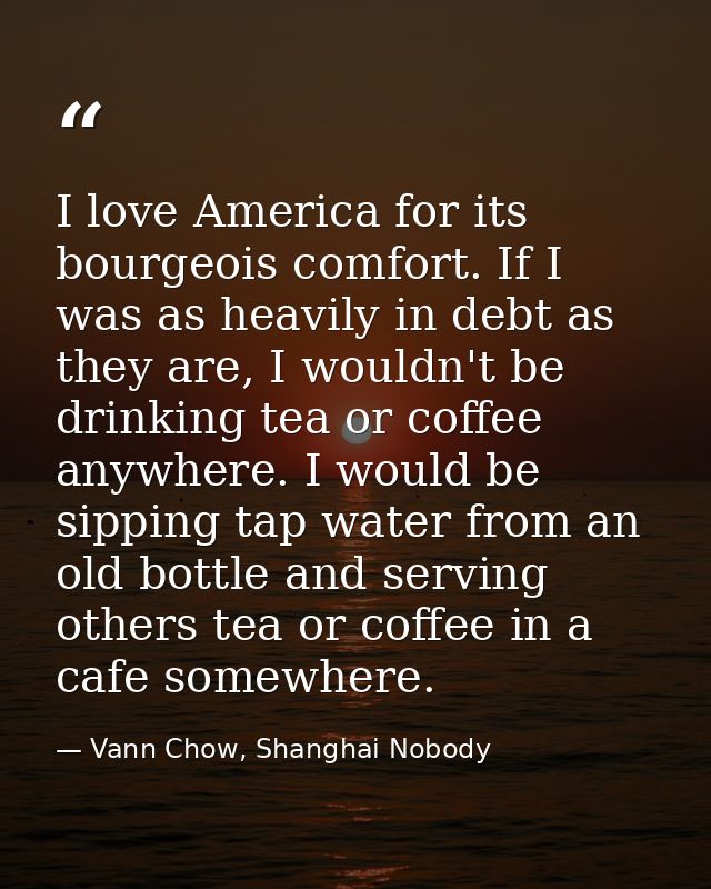 I love America for its bourgeois comfort. If I was as heavily in debt as they are, I wouldn't be drinking tea or coffee  — Vann Chow, Shanghai Nobody