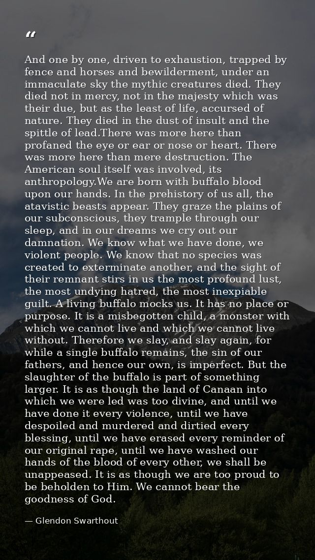 And one by one, driven to exhaustion, trapped by fence and horses and bewilderment, under an immaculate sky the mythic c — Glendon Swarthout
