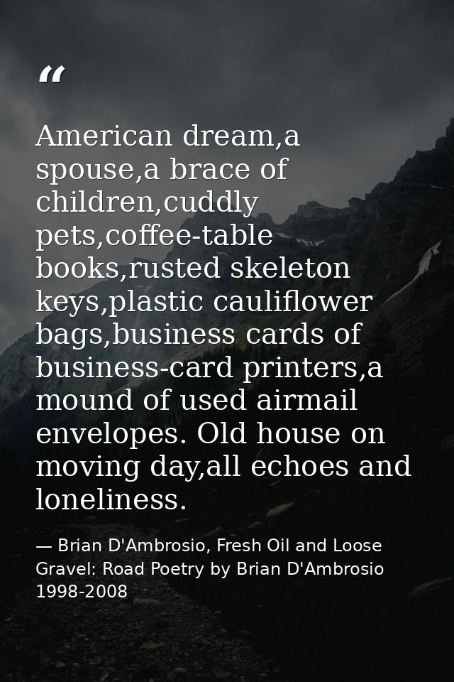 American dream,a spouse,a brace of children,cuddly pets,coffee-table books,rusted skeleton keys,plastic cauliflower bags — Brian D'Ambrosio, Fresh Oil and Loose Gravel: Road Poetry by Brian D'Ambrosio 1998-2008
