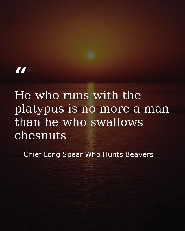 He who runs with the platypus is no more a man than he who swallows chesnuts — Chief Long Spear Who Hunts Beavers