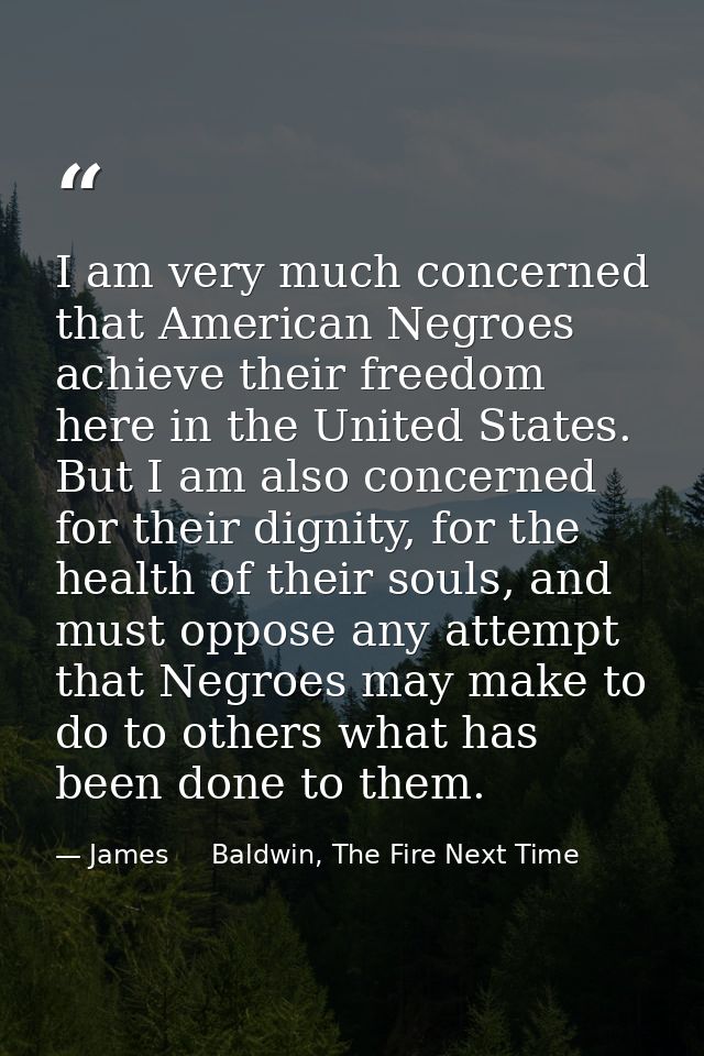 I am very much concerned that American Negroes achieve their freedom here in the United States. But I am also concerned  — James     Baldwin, The Fire Next Time