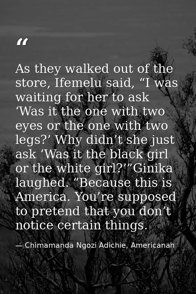 As they walked out of the store, Ifemelu said, “I was waiting for her to ask ‘Was it the one with two eyes or the one wi — Chimamanda Ngozi Adichie, Americanah