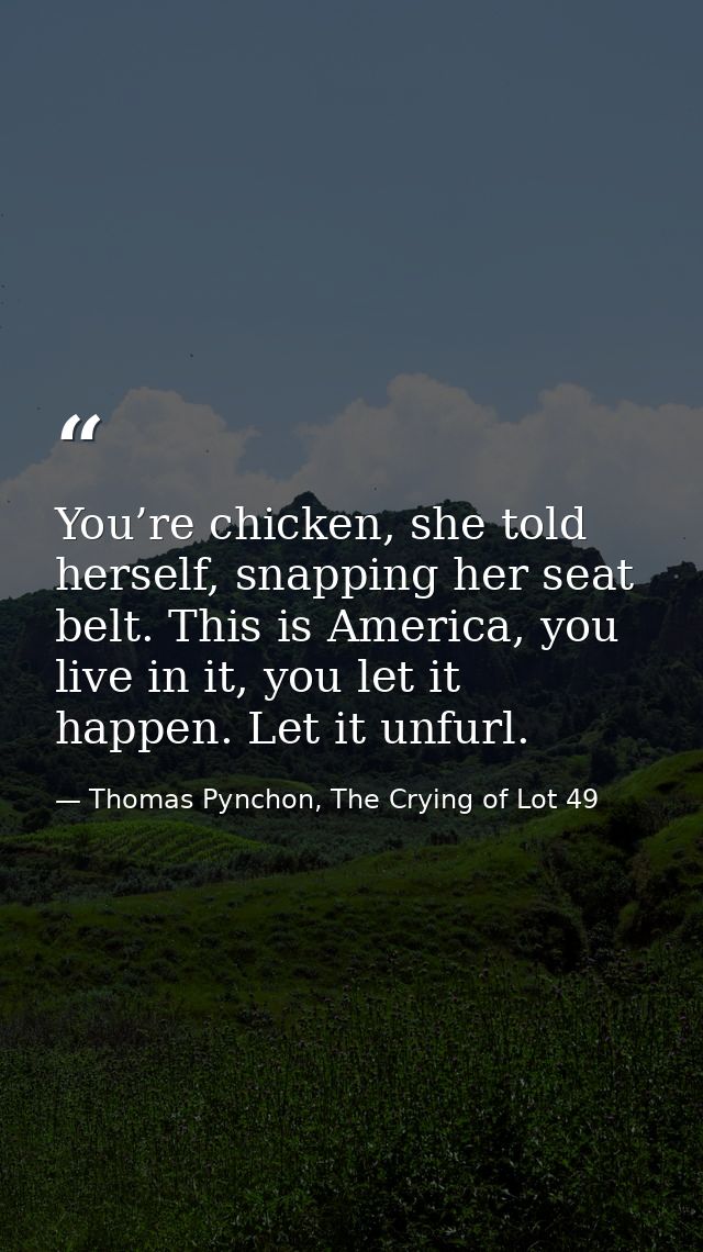 You’re chicken, she told herself, snapping her seat belt. This is America, you live in it, you let it happen. Let it unf — Thomas Pynchon, The Crying of Lot 49