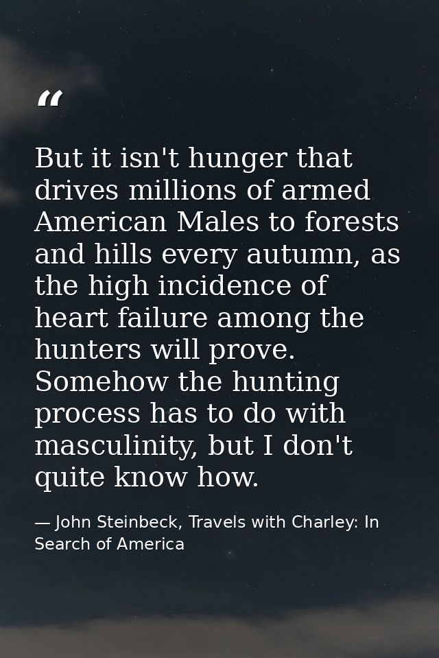 But it isn't hunger that drives millions of armed American Males to forests and hills every autumn, as the high incidenc — John Steinbeck, Travels with Charley: In Search of America