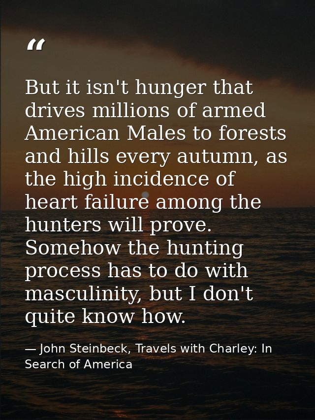But it isn't hunger that drives millions of armed American Males to forests and hills every autumn, as the high incidenc — John Steinbeck, Travels with Charley: In Search of America