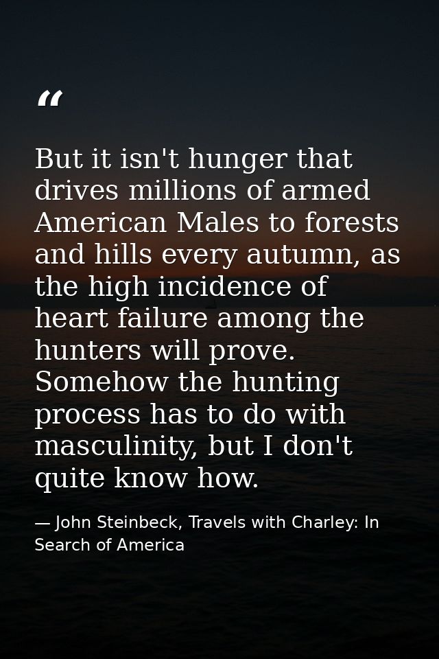But it isn't hunger that drives millions of armed American Males to forests and hills every autumn, as the high incidenc — John Steinbeck, Travels with Charley: In Search of America