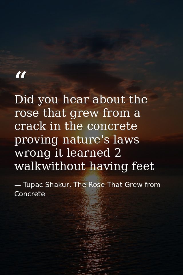 Did you hear about the rose that grew from a crack in the concrete proving nature's laws wrong it learned 2 walkwithout  — Tupac Shakur, The Rose That Grew from Concrete