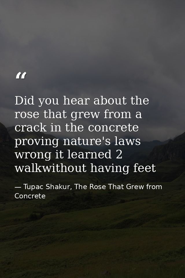 Did you hear about the rose that grew from a crack in the concrete proving nature's laws wrong it learned 2 walkwithout  — Tupac Shakur, The Rose That Grew from Concrete