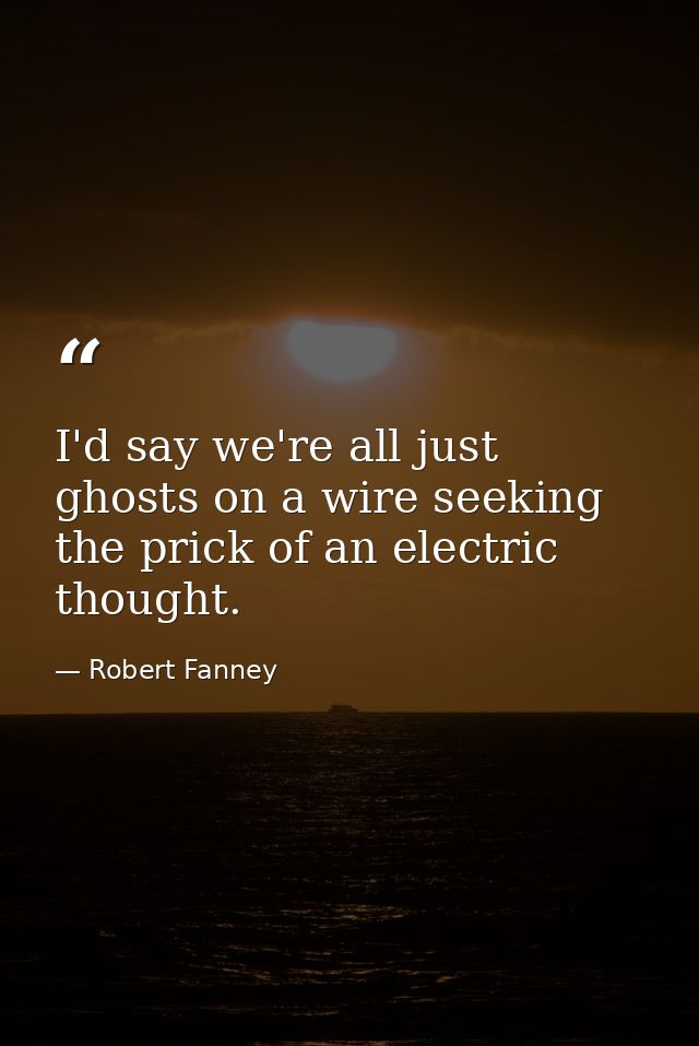 I'd say we're all just ghosts on a wire seeking the prick of an electric thought. — Robert Fanney