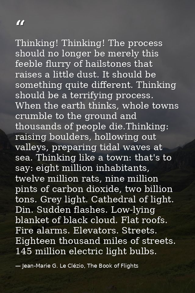 Thinking! Thinking! The process should no longer be merely this feeble flurry of hailstones that raises a little dust. I — Jean-Marie G. Le Clézio, The Book of Flights