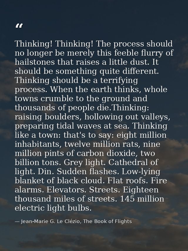 Thinking! Thinking! The process should no longer be merely this feeble flurry of hailstones that raises a little dust. I — Jean-Marie G. Le Clézio, The Book of Flights
