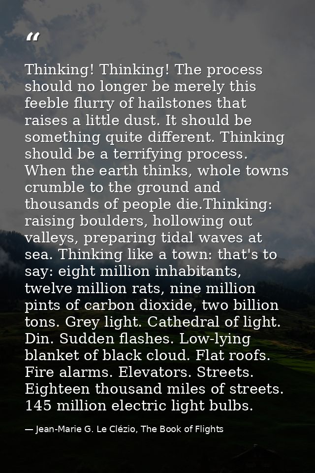 Thinking! Thinking! The process should no longer be merely this feeble flurry of hailstones that raises a little dust. I — Jean-Marie G. Le Clézio, The Book of Flights