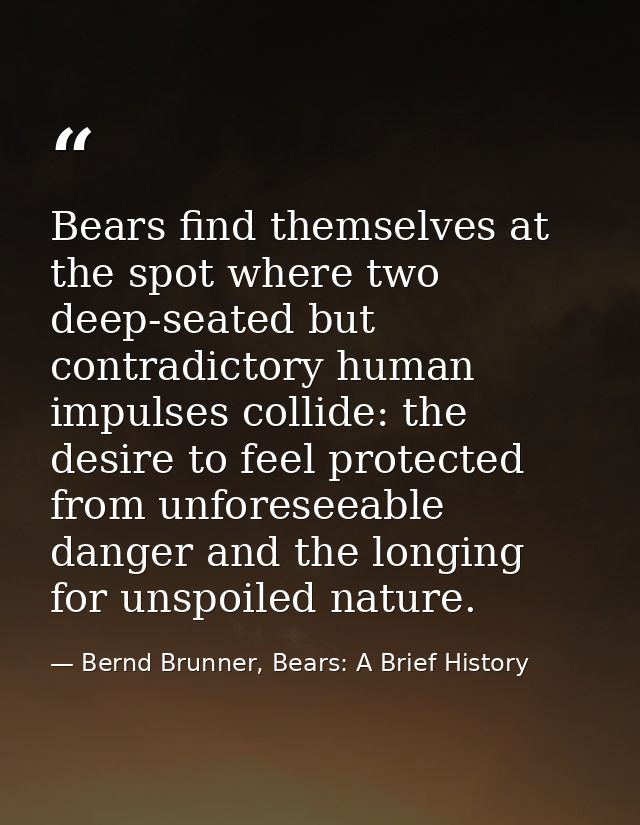 Bears find themselves at the spot where two deep-seated but contradictory human impulses collide: the desire to feel pro — Bernd Brunner, Bears: A Brief History