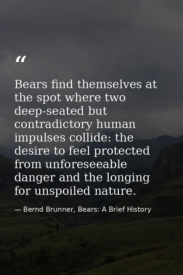 Bears find themselves at the spot where two deep-seated but contradictory human impulses collide: the desire to feel pro — Bernd Brunner, Bears: A Brief History