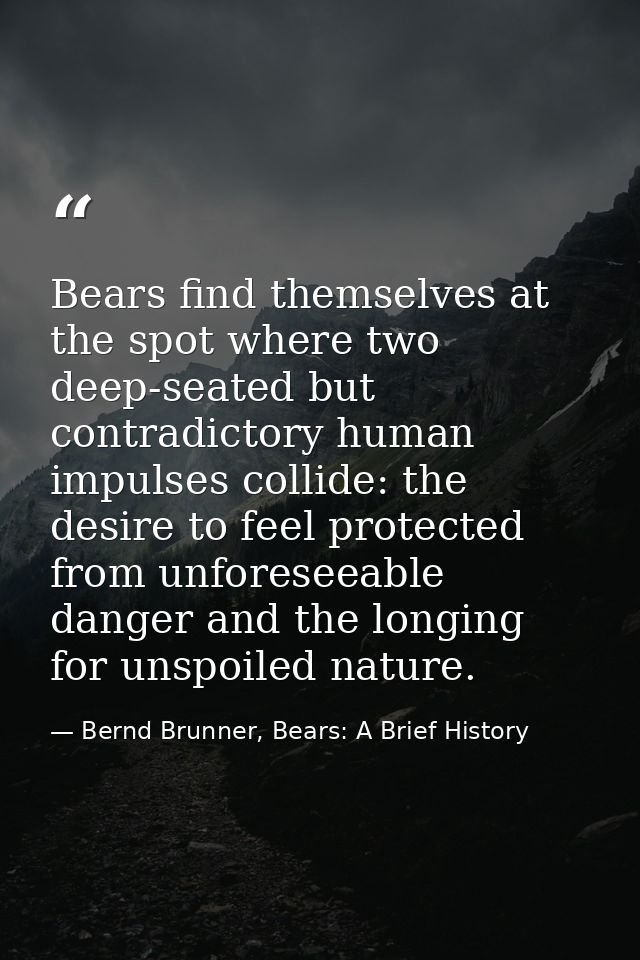 Bears find themselves at the spot where two deep-seated but contradictory human impulses collide: the desire to feel pro — Bernd Brunner, Bears: A Brief History