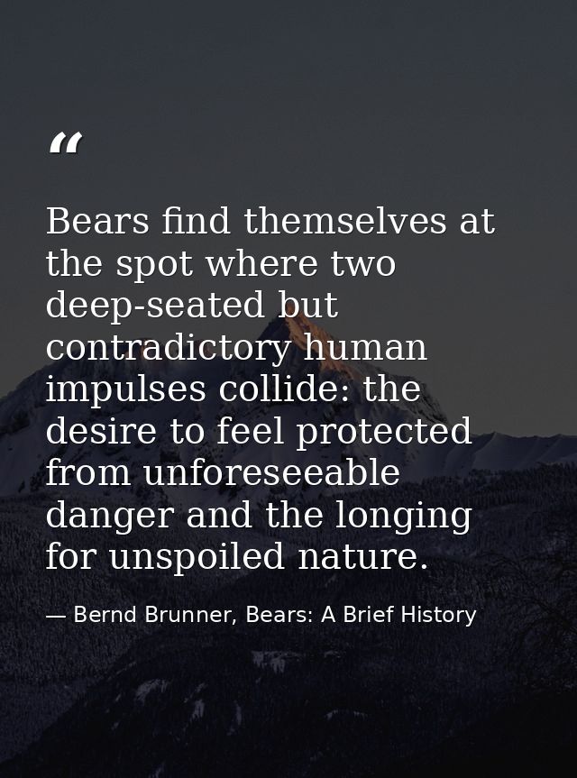 Bears find themselves at the spot where two deep-seated but contradictory human impulses collide: the desire to feel pro — Bernd Brunner, Bears: A Brief History