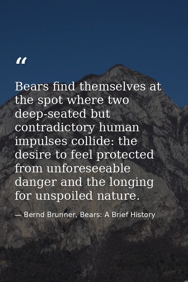 Bears find themselves at the spot where two deep-seated but contradictory human impulses collide: the desire to feel pro — Bernd Brunner, Bears: A Brief History