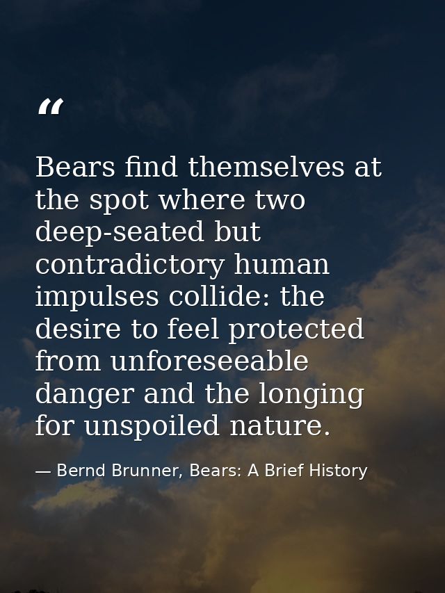 Bears find themselves at the spot where two deep-seated but contradictory human impulses collide: the desire to feel pro — Bernd Brunner, Bears: A Brief History