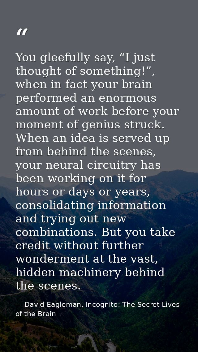 You gleefully say, “I just thought of something!”, when in fact your brain performed an enormous amount of work before y — David Eagleman, Incognito: The Secret Lives of the Brain