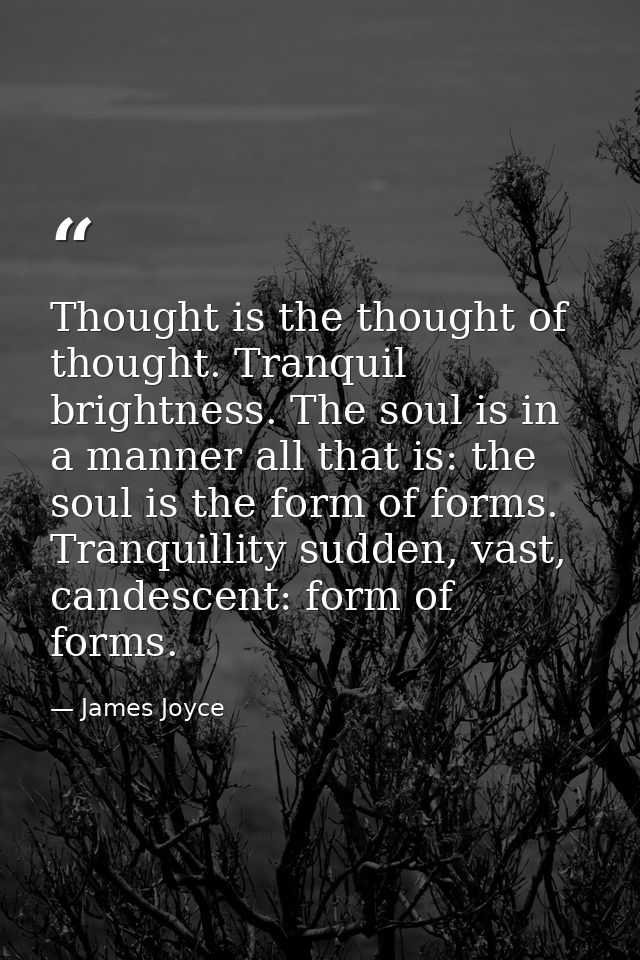 Thought is the thought of thought. Tranquil brightness. The soul is in a manner all that is: the soul is the form of for — James Joyce