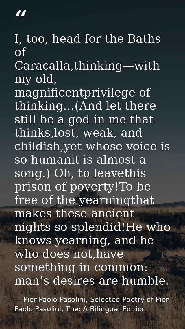 I, too, head for the Baths of Caracalla,thinking—with my old, magnificentprivilege of thinking…(And let there still be a — Pier Paolo Pasolini, Selected Poetry of Pier Paolo Pasolini, The: A Bilingual Edition