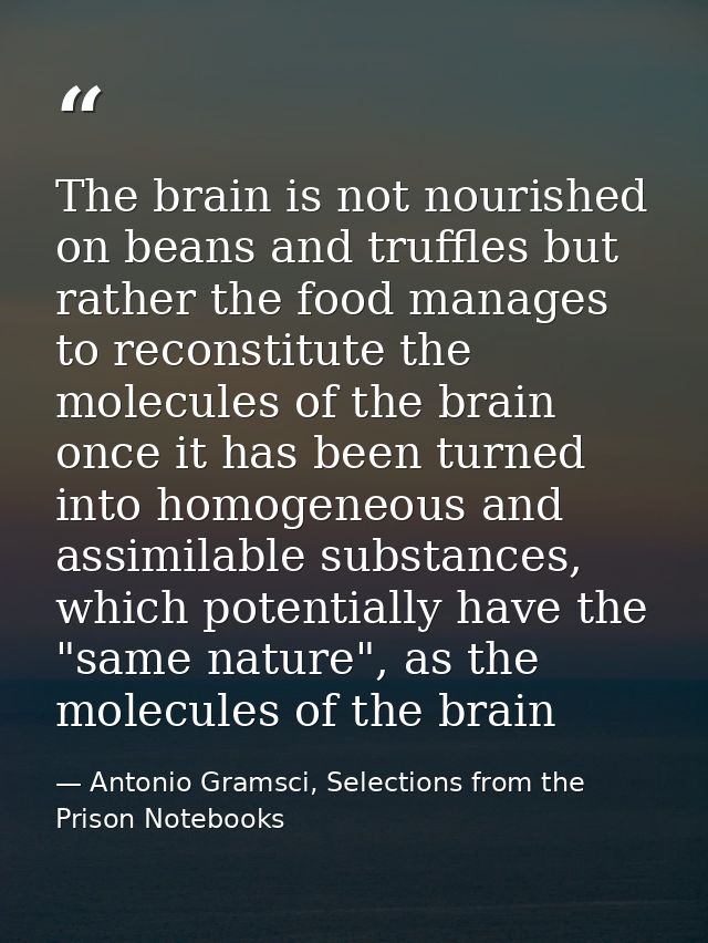 The brain is not nourished on beans and truffles but rather the food manages to reconstitute the molecules of the brain  — Antonio Gramsci, Selections from the Prison Notebooks