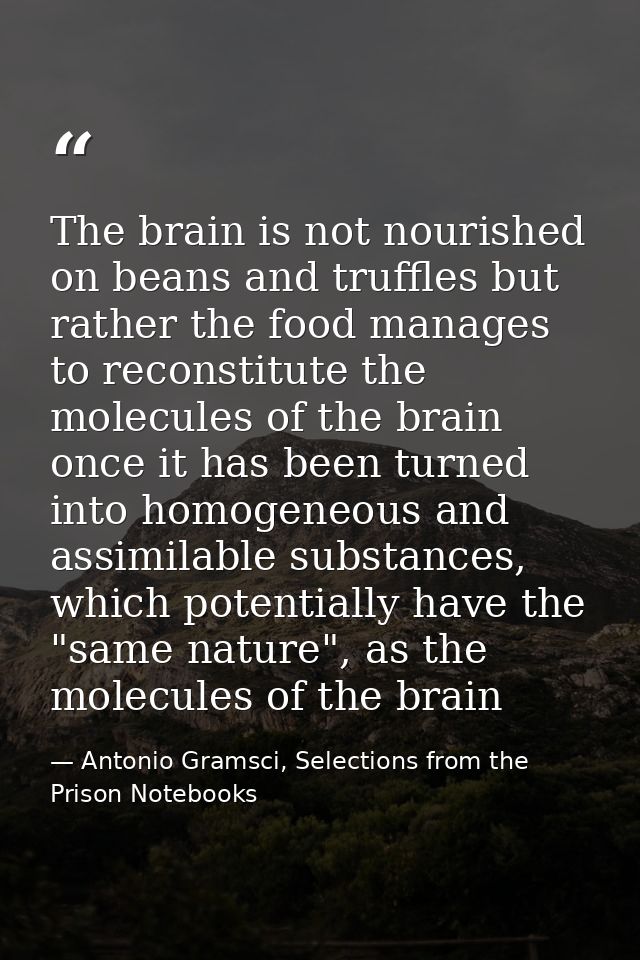 The brain is not nourished on beans and truffles but rather the food manages to reconstitute the molecules of the brain  — Antonio Gramsci, Selections from the Prison Notebooks