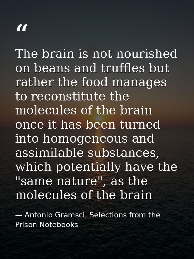 The brain is not nourished on beans and truffles but rather the food manages to reconstitute the molecules of the brain  — Antonio Gramsci, Selections from the Prison Notebooks