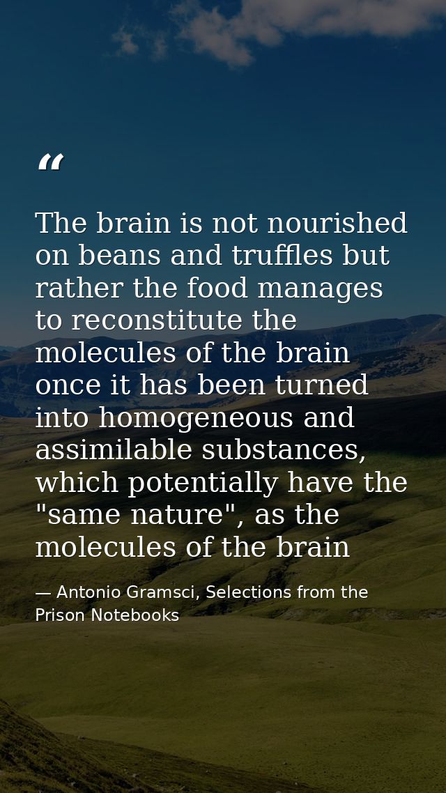 The brain is not nourished on beans and truffles but rather the food manages to reconstitute the molecules of the brain  — Antonio Gramsci, Selections from the Prison Notebooks