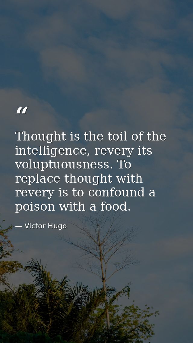 Thought is the toil of the intelligence, revery its voluptuousness. To replace thought with revery is to confound a pois — Victor Hugo