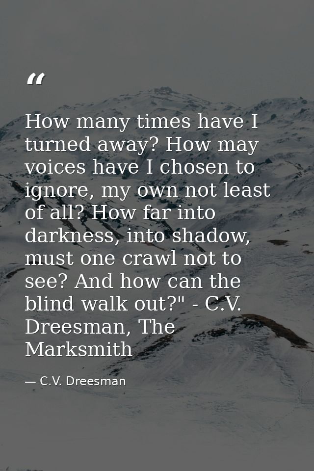 How many times have I turned away? How may voices have I chosen to ignore, my own not least of all? How far into darknes — C.V. Dreesman