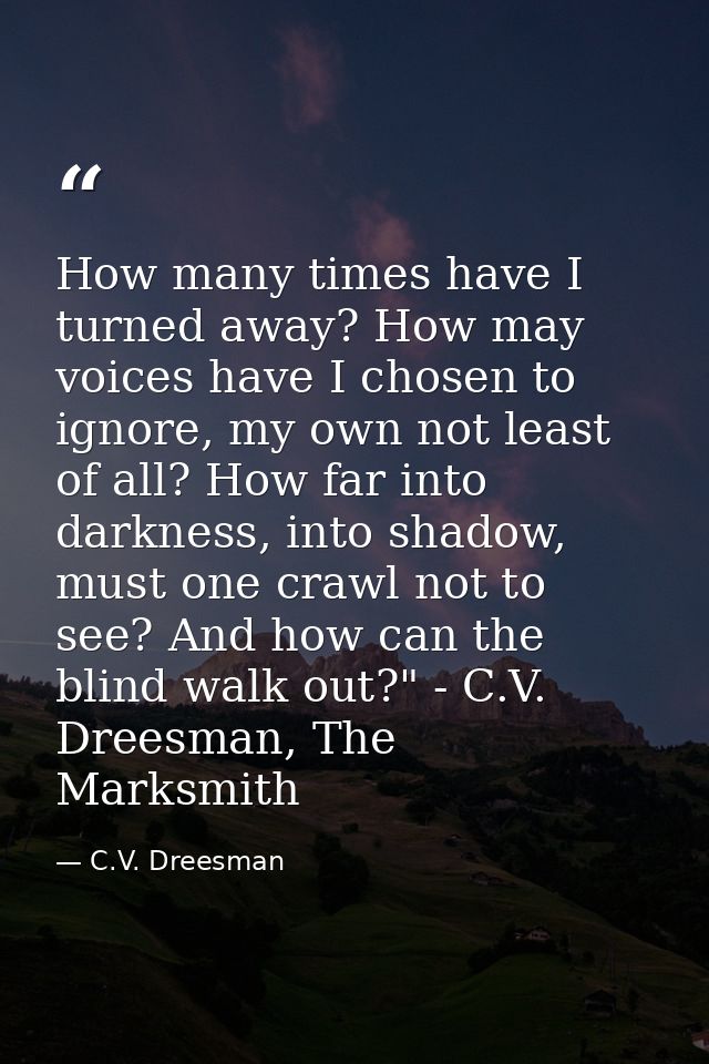 How many times have I turned away? How may voices have I chosen to ignore, my own not least of all? How far into darknes — C.V. Dreesman