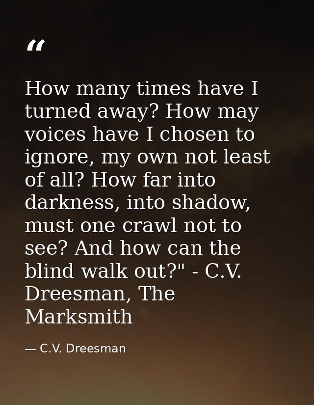 How many times have I turned away? How may voices have I chosen to ignore, my own not least of all? How far into darknes — C.V. Dreesman