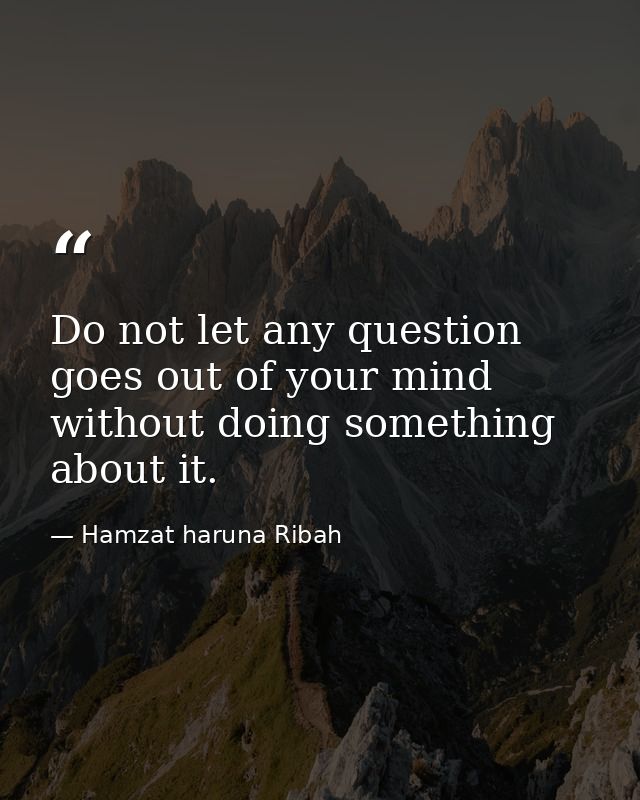 Do not let any question goes out of your mind without doing something about it. — Hamzat haruna Ribah