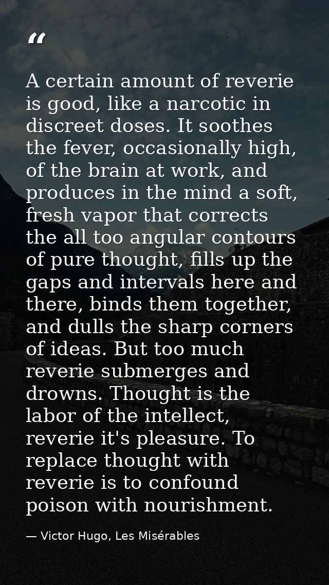A certain amount of reverie is good, like a narcotic in discreet doses. It soothes the fever, occasionally high, of the  — Victor Hugo, Les Misérables