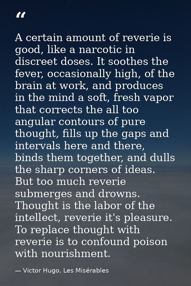 A certain amount of reverie is good, like a narcotic in discreet doses. It soothes the fever, occasionally high, of the  — Victor Hugo, Les Misérables