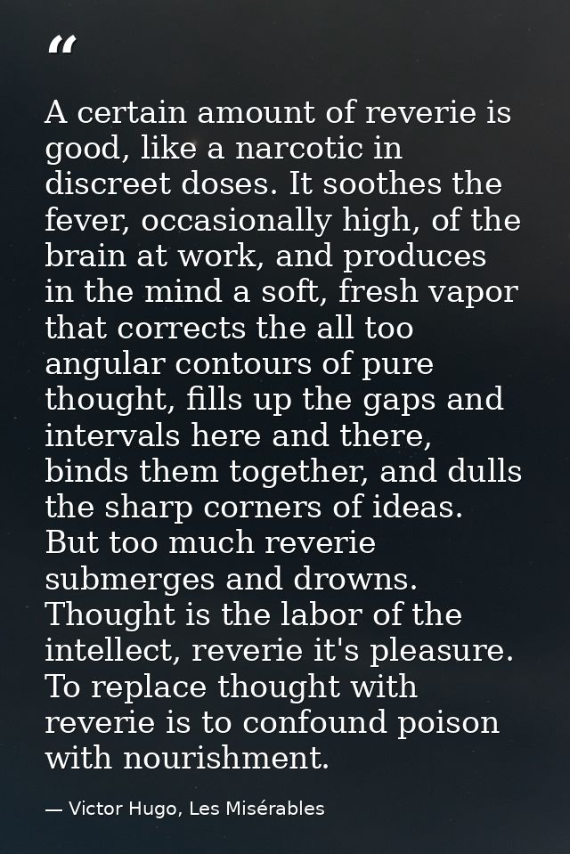 A certain amount of reverie is good, like a narcotic in discreet doses. It soothes the fever, occasionally high, of the  — Victor Hugo, Les Misérables