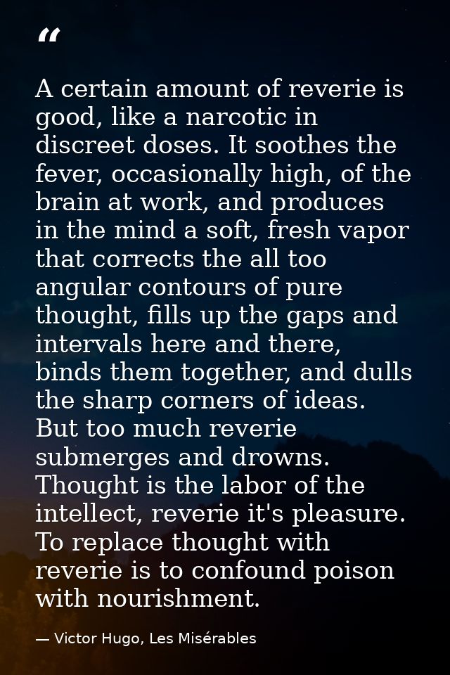 A certain amount of reverie is good, like a narcotic in discreet doses. It soothes the fever, occasionally high, of the  — Victor Hugo, Les Misérables