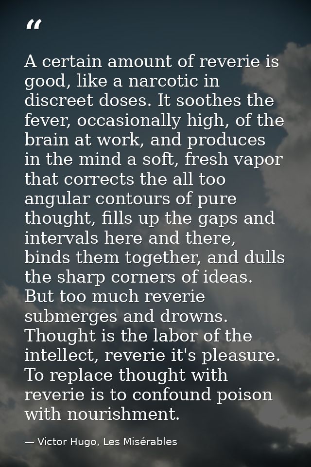 A certain amount of reverie is good, like a narcotic in discreet doses. It soothes the fever, occasionally high, of the  — Victor Hugo, Les Misérables