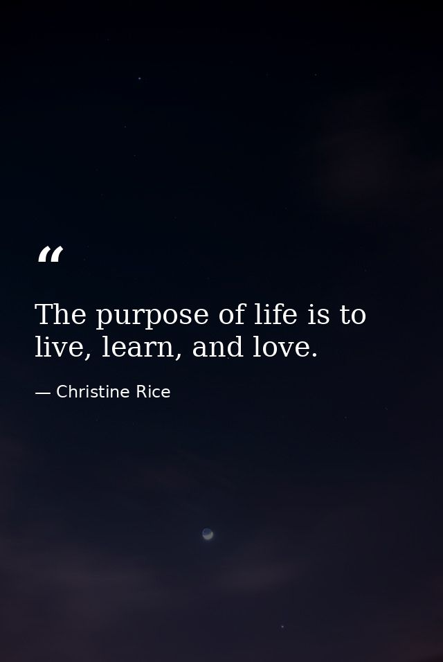 The purpose of life is to live, learn, and love. — Christine Rice
