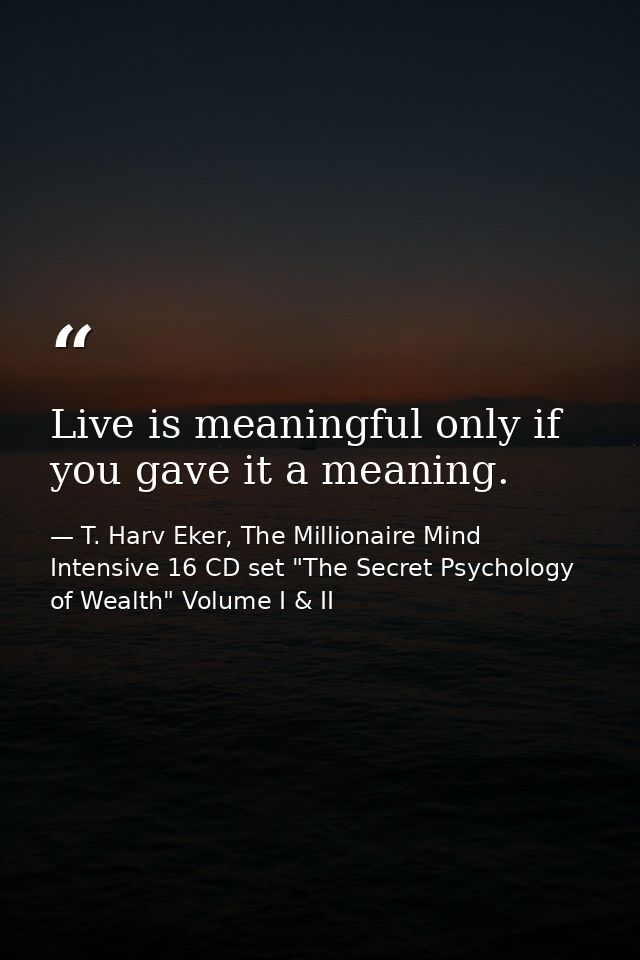 Live is meaningful only if you gave it a meaning. — T. Harv Eker, The Millionaire Mind Intensive 16 CD set "The Secret Psychology of Wealth" Volume I & II