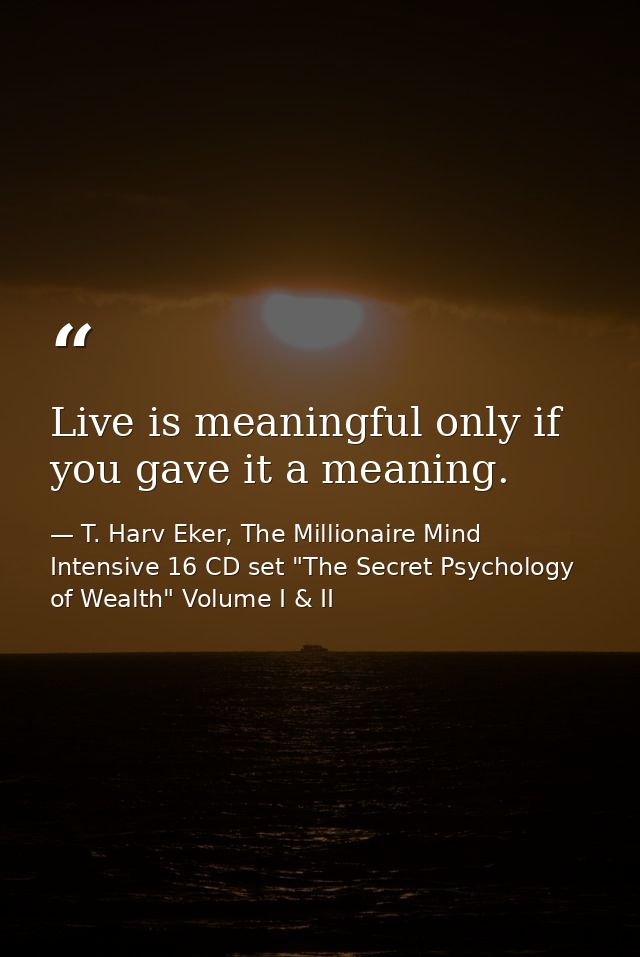Live is meaningful only if you gave it a meaning. — T. Harv Eker, The Millionaire Mind Intensive 16 CD set "The Secret Psychology of Wealth" Volume I & II