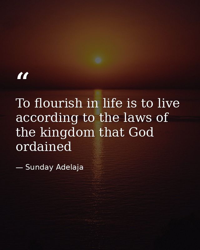To flourish in life is to live according to the laws of the kingdom that God ordained — Sunday Adelaja