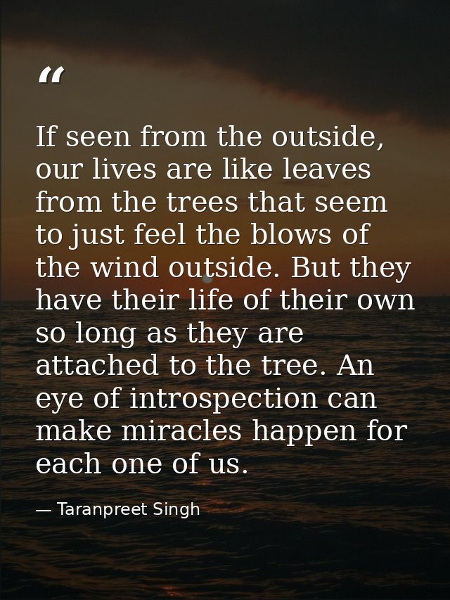 If seen from the outside, our lives are like leaves from the trees that seem to just feel the blows of the wind outside. — Taranpreet Singh