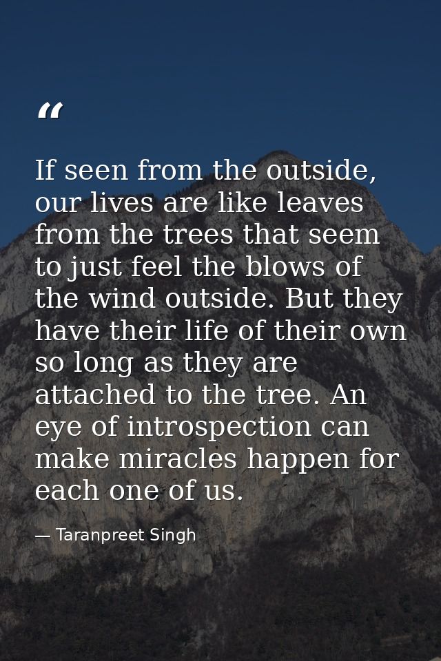 If seen from the outside, our lives are like leaves from the trees that seem to just feel the blows of the wind outside. — Taranpreet Singh