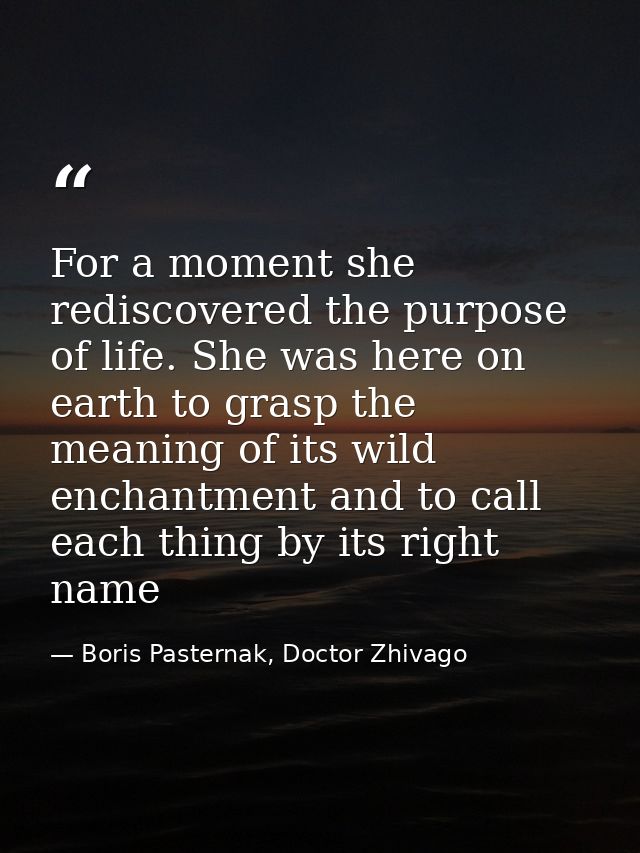 For a moment she rediscovered the purpose of life. She was here on earth to grasp the meaning of its wild enchantment an — Boris Pasternak, Doctor Zhivago