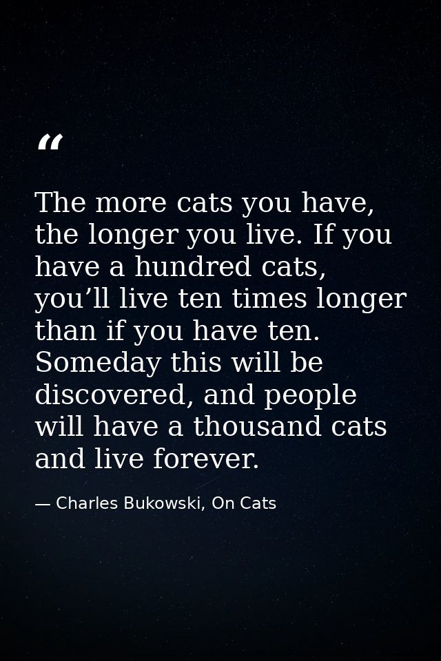 The more cats you have, the longer you live. If you have a hundred cats, you’ll live ten times longer than if you have t — Charles Bukowski, On Cats