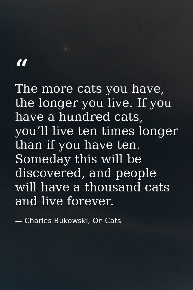 The more cats you have, the longer you live. If you have a hundred cats, you’ll live ten times longer than if you have t — Charles Bukowski, On Cats