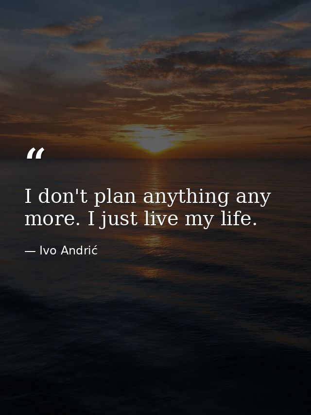 I don't plan anything any more. I just live my life. — Ivo Andrić